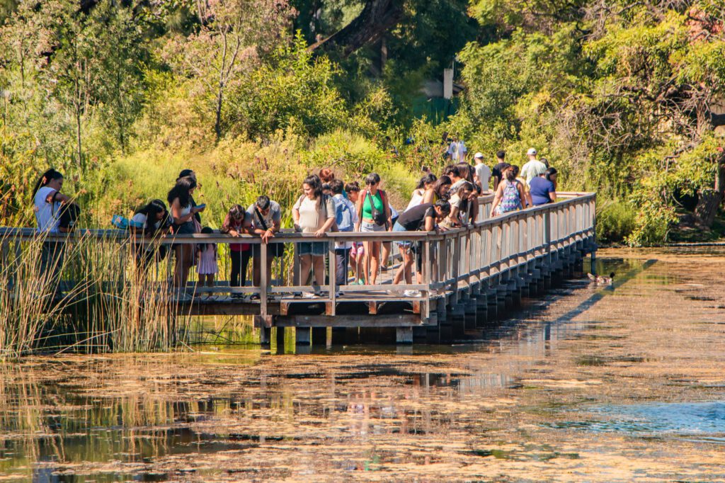 Ecoparque Buenos Aires