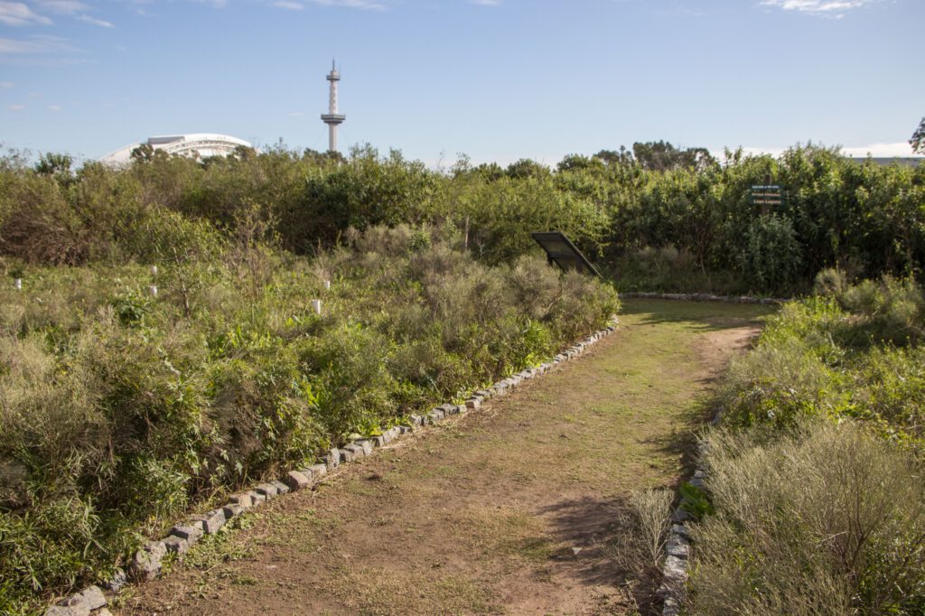 Reserva Ecológica Lugano