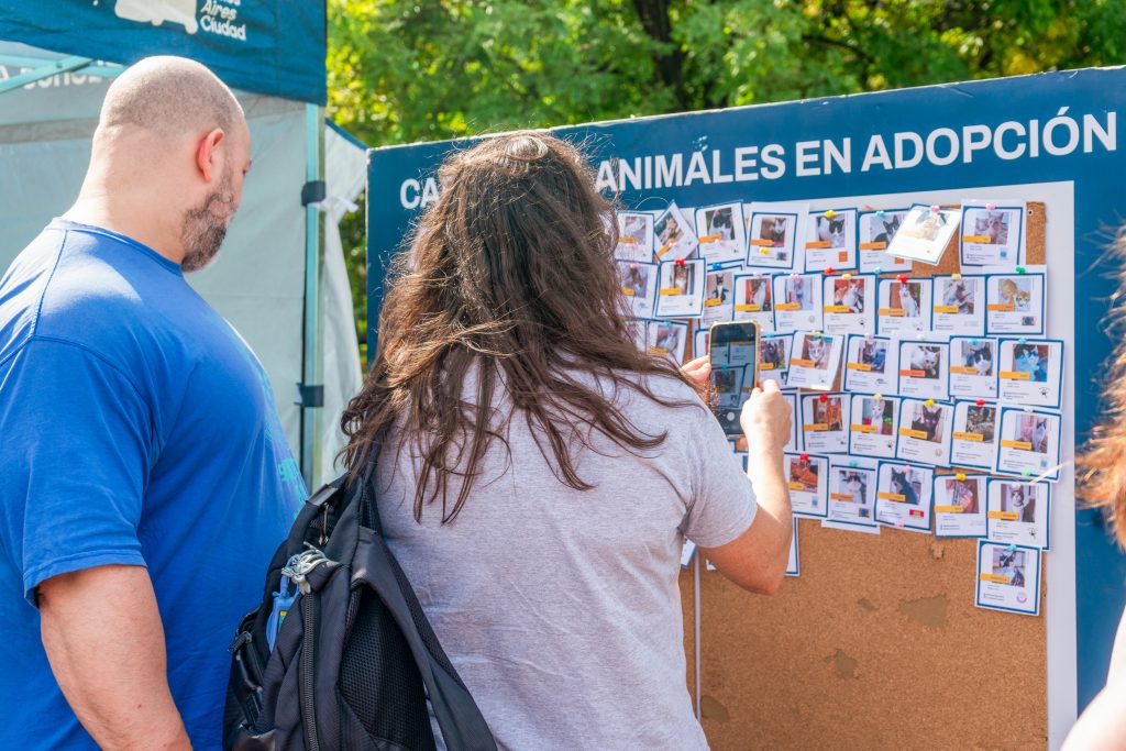 Jornadas de adopción